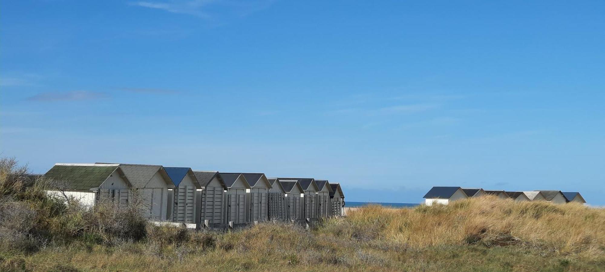 La Petite Taupe - Chambres D'Hotes Saint-Omer  Dış mekan fotoğraf